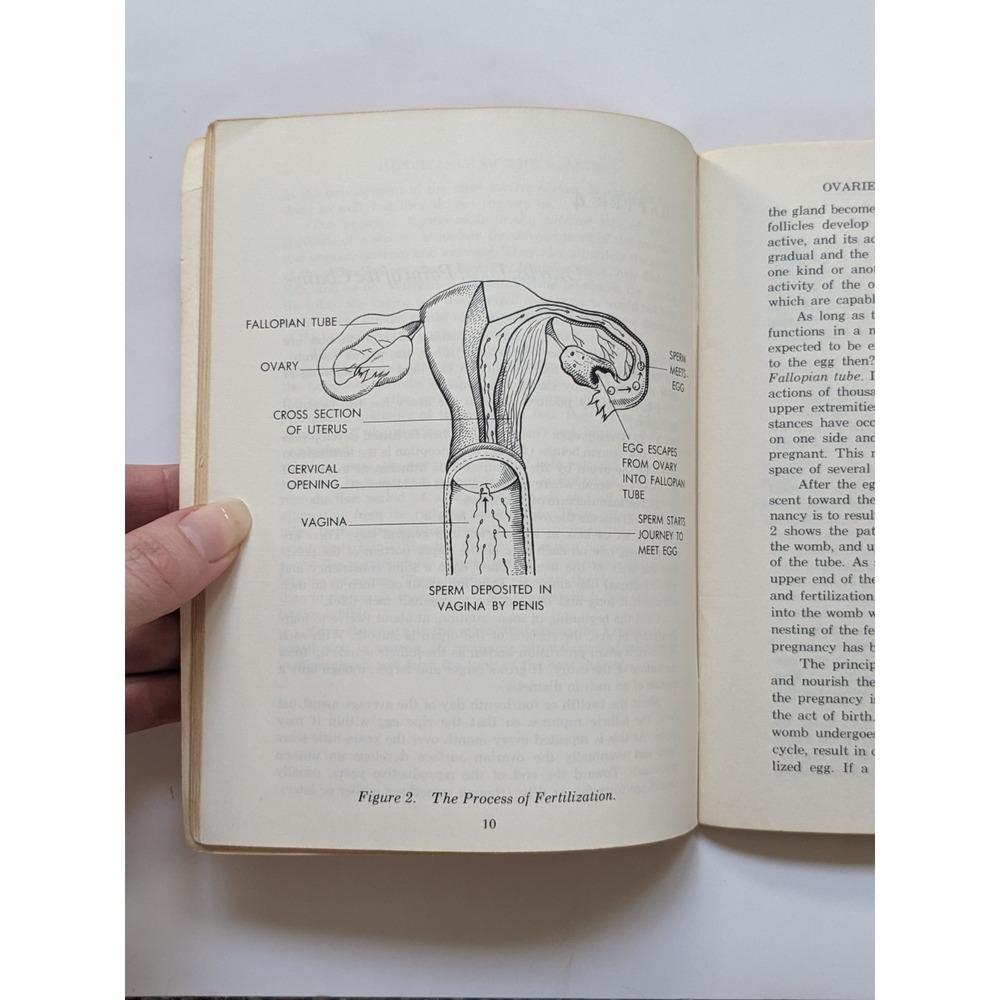 Vintage 'A Doctor Discusses Menopause' Booklet 1950's Housewife Sex Education - Picture 8 of 8
